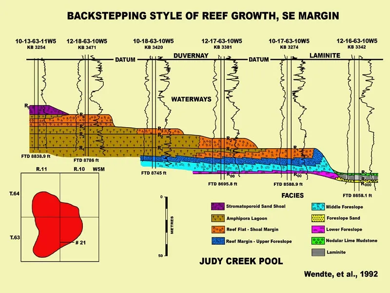 carbonate-petrographic-studies-image Figure from Wendte et al